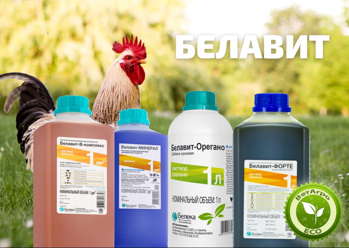 Белавит – 100% натуральные витаминно-минеральные комплексы