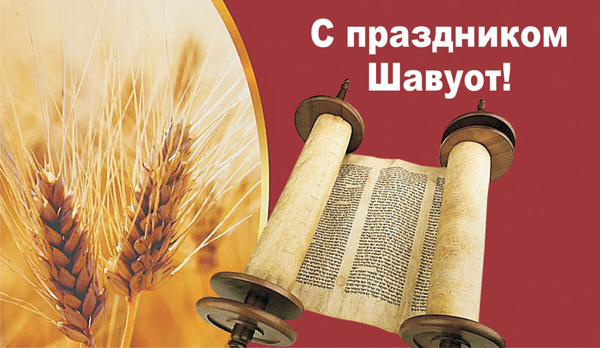 Шавуот как празднуют. Шавуот как празднуют. Шавуот как празднуют. В израиле праздник шавуот. Шавуот дарование торы.