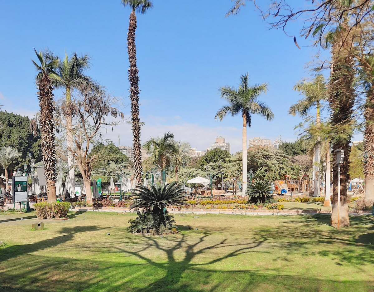 Центр Каира, Египет. Как видите, Каир бывает и красивым. Фото автора канала