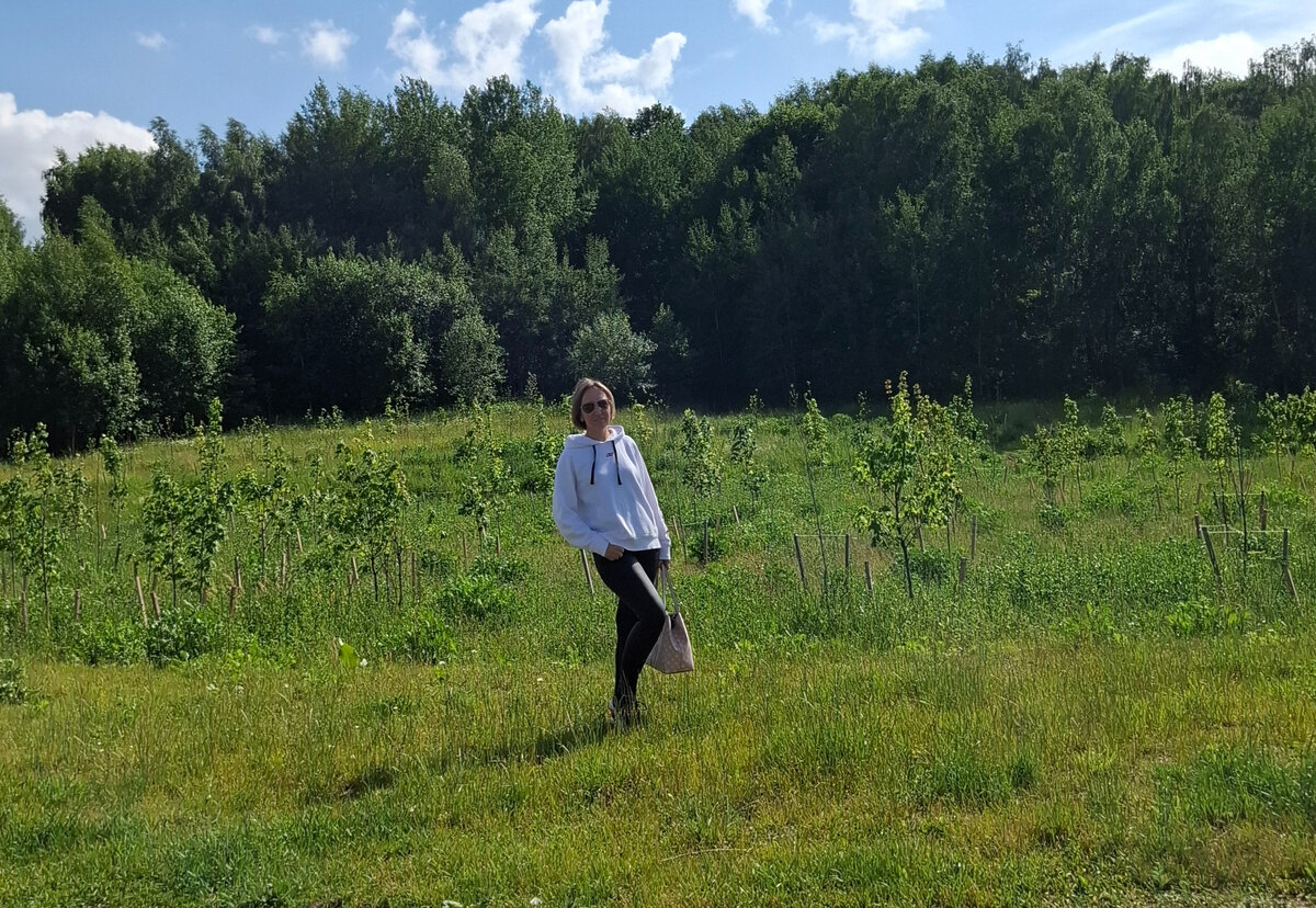 Автор канала. Пока не в Египте :)