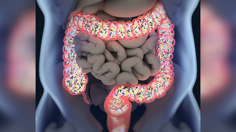    Вирусы, незаметно живущие в каждом из нас