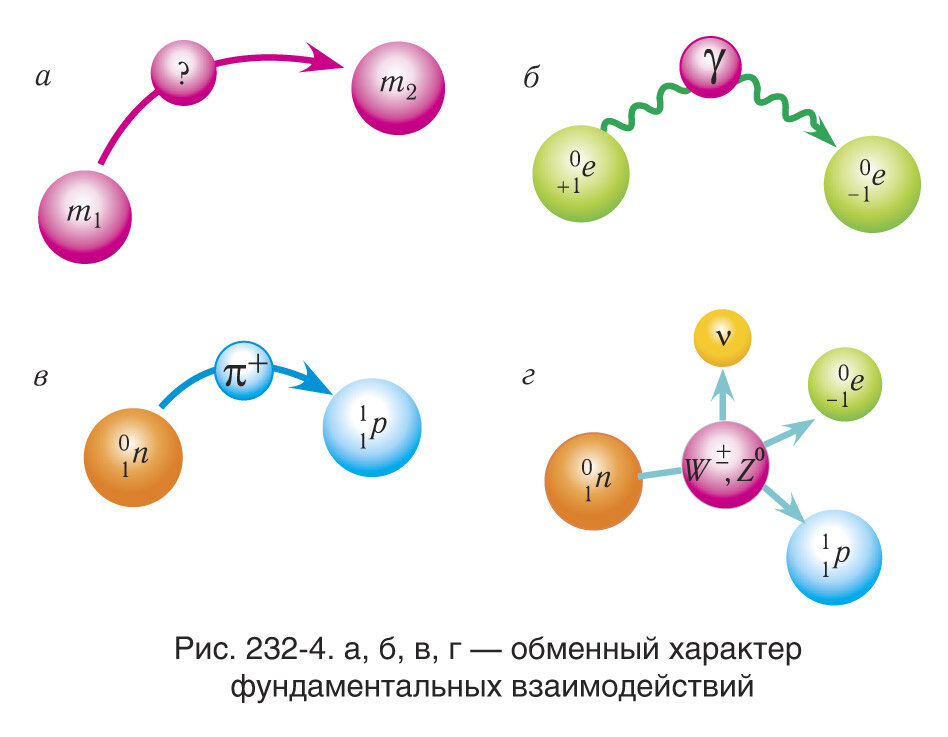 Кванты полей фундаментальных взаимодействий: а) гравитация непонятно как работает; б) позитрон притягивает электрон, донося до него фотон; в) нейтрон притягивается к протону в ядре атома, предавая ему один из глюонов - пи-мезон (или пион); г) бетта-распад нейтрона: нейрон превращается в протон, выделяя W- бозон, который создает электрон и антинейтрино. Источник: http://profil.adu.by/mod/book/view.php?id=3885