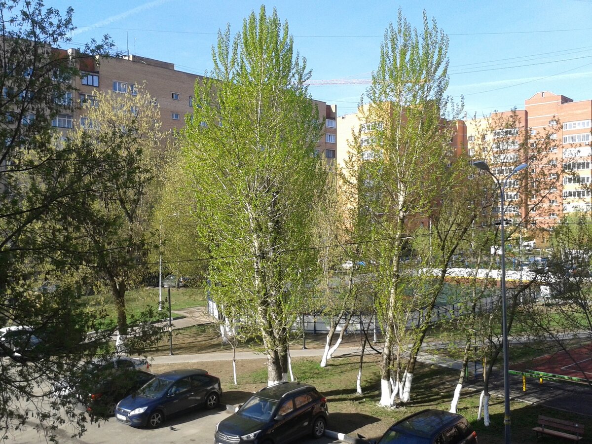 Наш двор в 2018 году