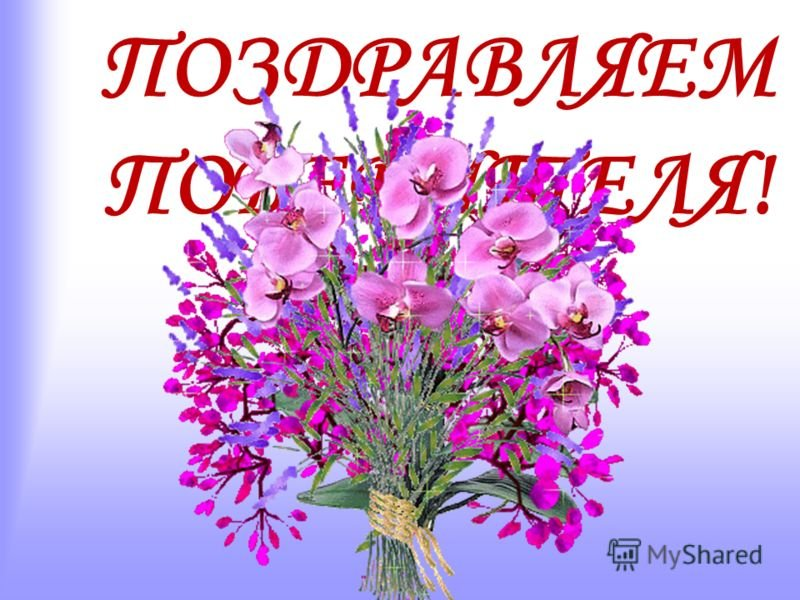 яндекс картинки