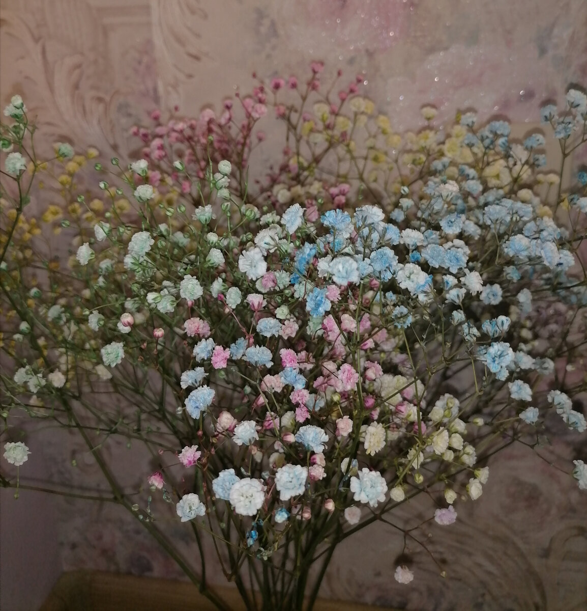 Внук подарил мне цветы на день рождения. В моем саду таких нет. Кто знает, как они называются? 