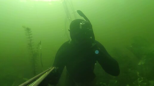 Подводная охота После замора рыбы на реке Савала