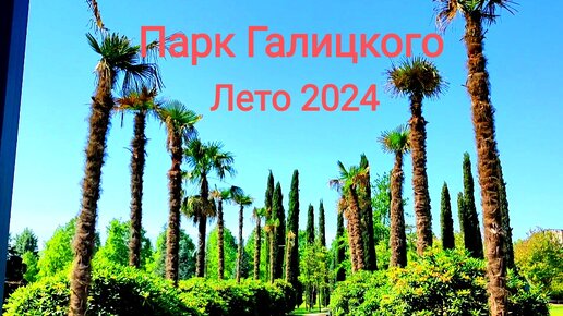 Краснодар. Парк Галицкого. Лето 2024