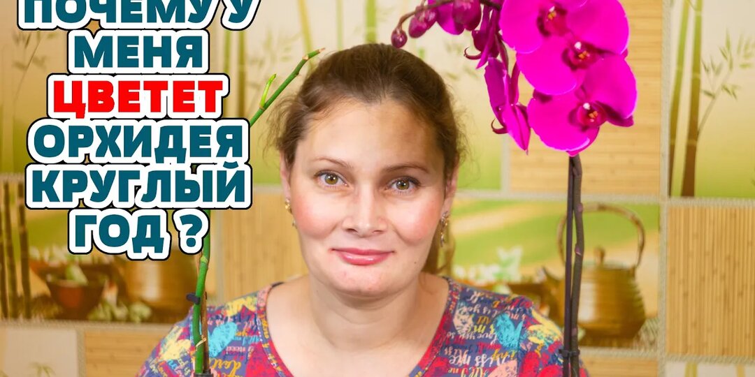 Орхидеи: Моя секретная формула по уходу🌸