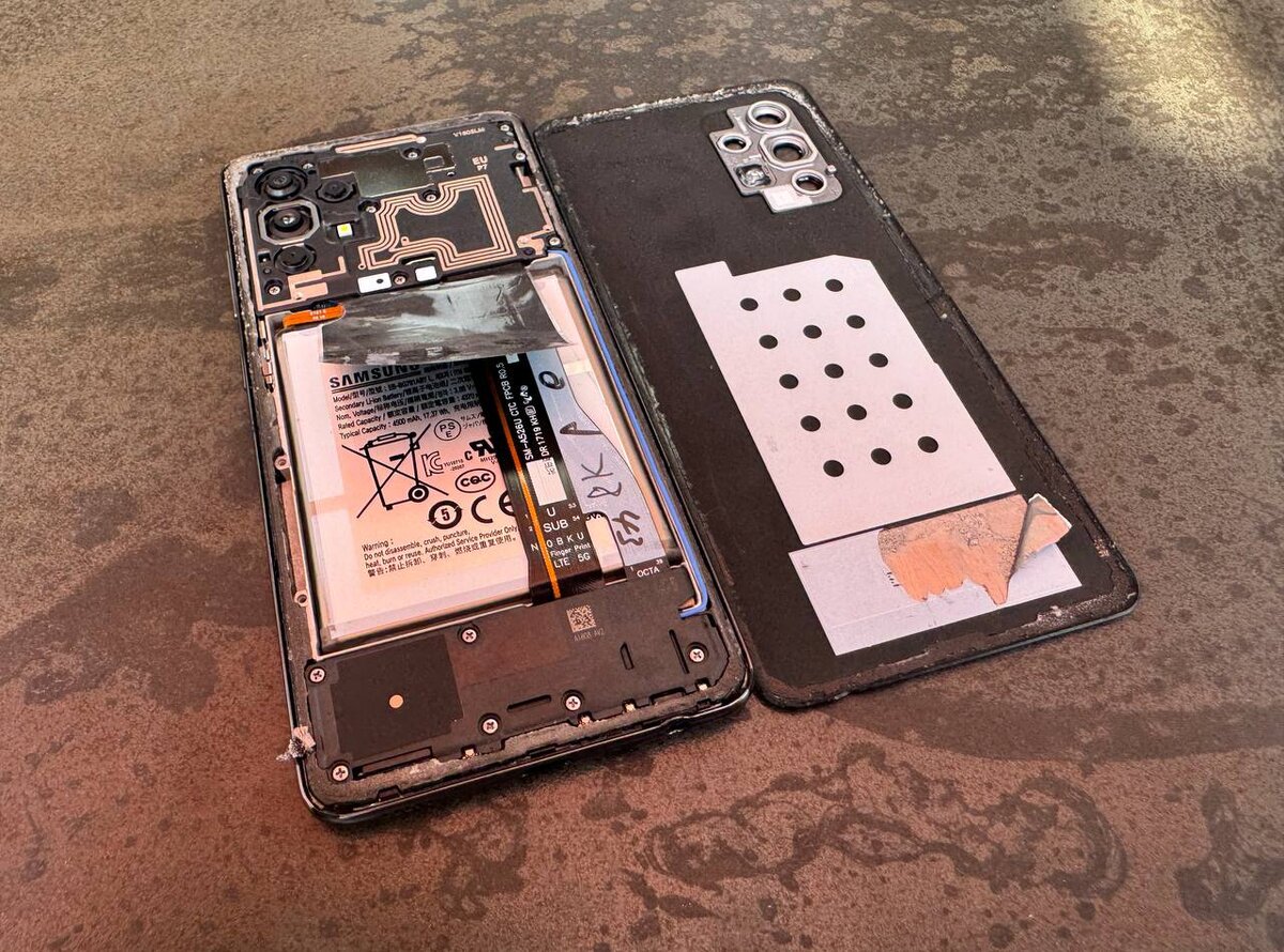    Фото: t.me/durov Анфиса Слепцова