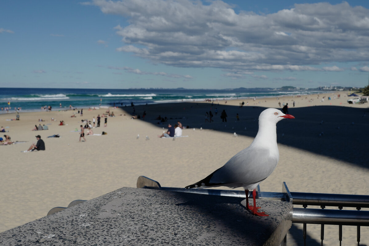 Фото: Getty Images