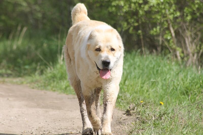 но вынуждена жить под палящим "южным" солнцем Псковщины