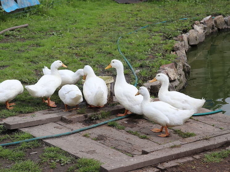     Фото: архив "МК в Калуге"