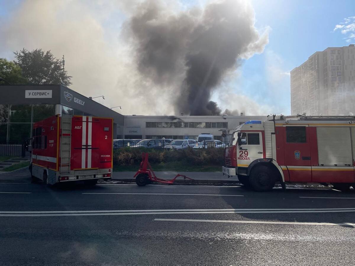    Фото: Вечерняя Москва