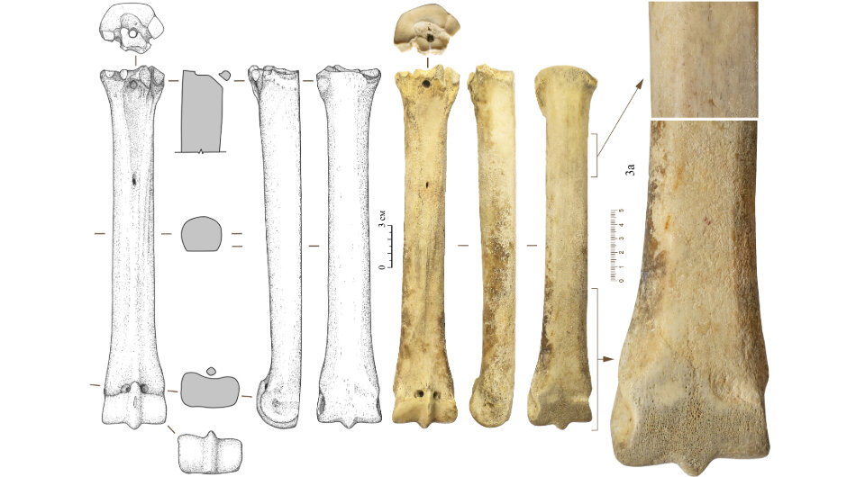   Залина Кадзаева и Владимир Малышев / Нижневолжский археологический вестник, 2024
