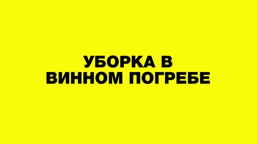 Кейс: уборка в современном винном погребе