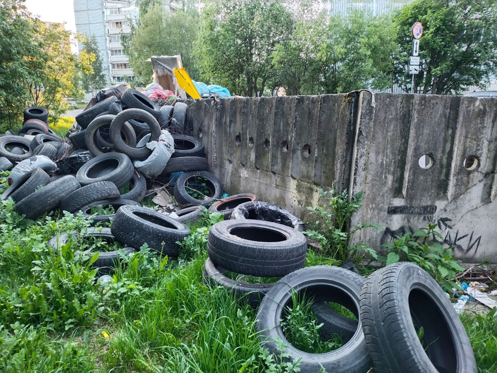    Жители двух районов Петрозаводска жалуются на переполненные мусорки