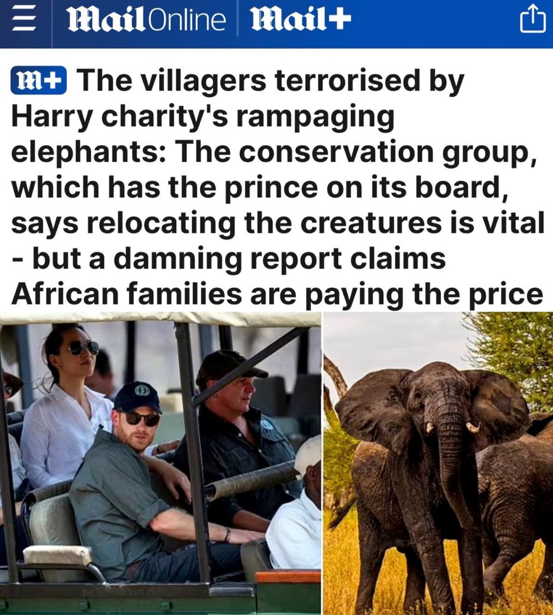 Слоны принца Гарри терроризируют жителей деревни»: В Малави в шоке от британского непрошеного подарка - королевские слоны атакуют население.