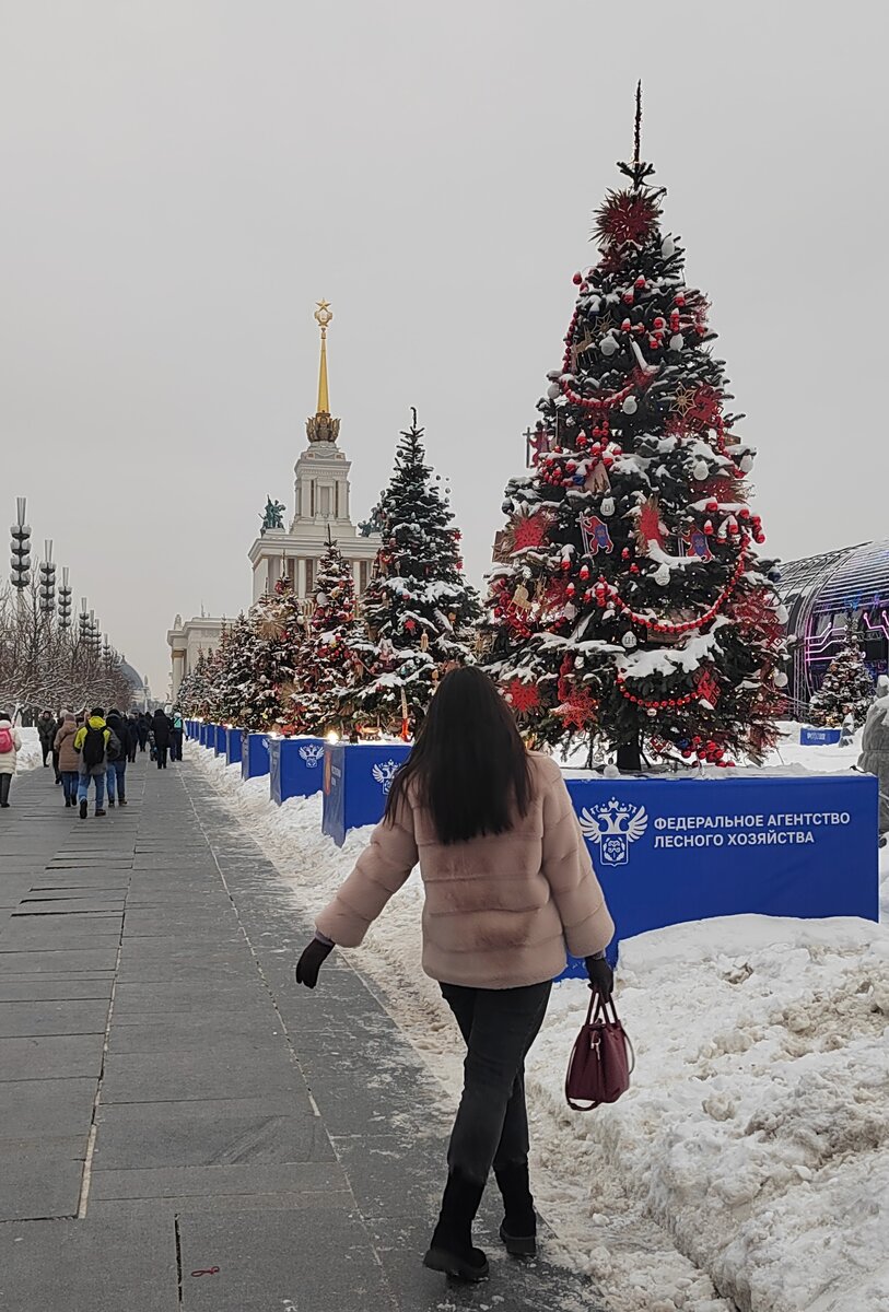 ВДНХ, выставка "Достижения России за последние 20 лет", январь 2024.