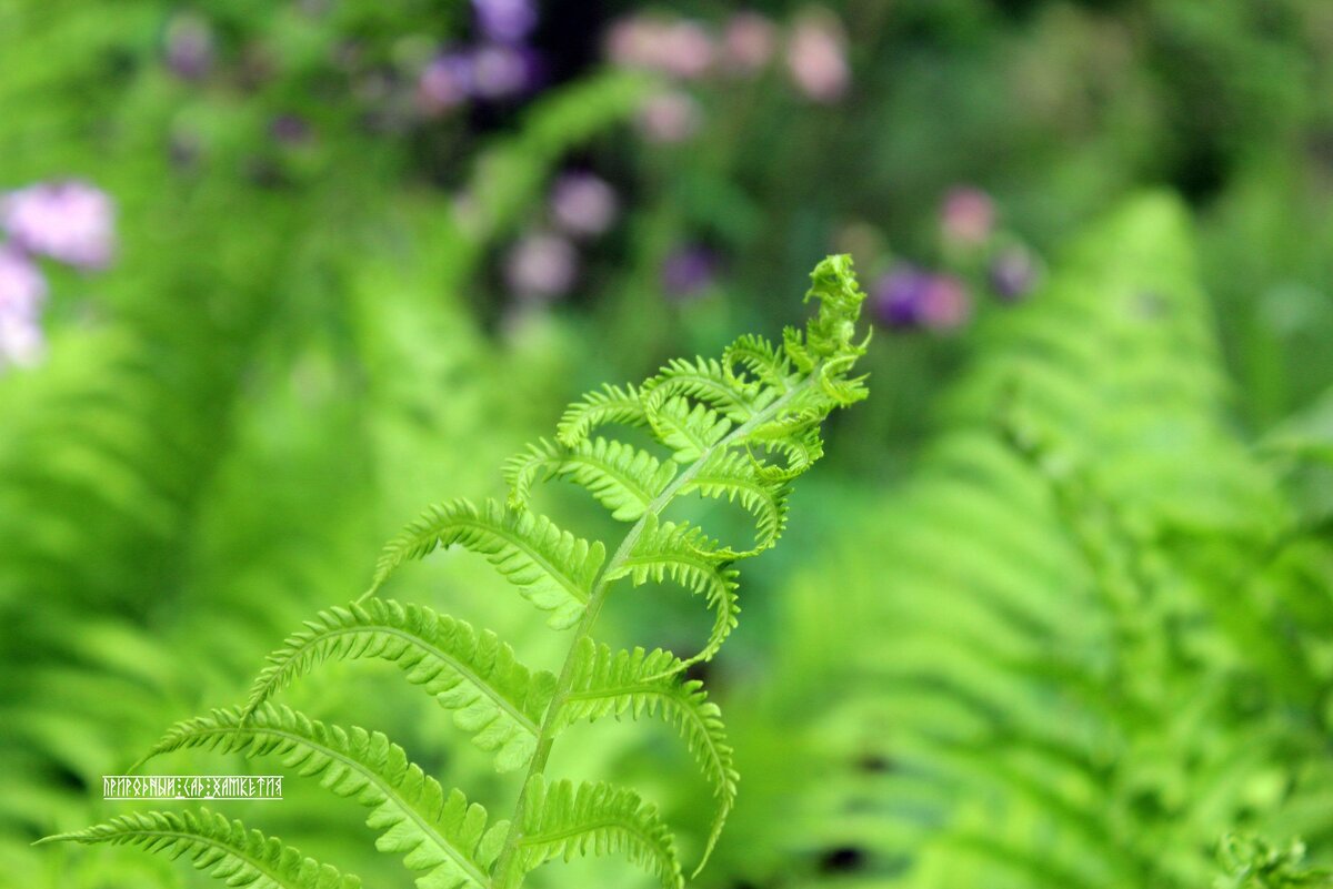 Листайте карусель.