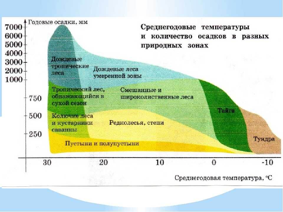 Почему в пределах одного географического пояса выделяют несколько природных зон?