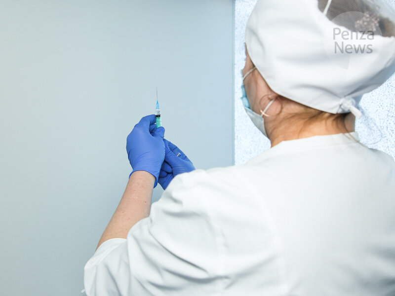    © Фото из архива ИА «PenzaNews»