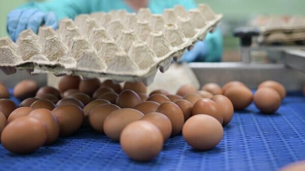    © Sputnik / Александр Кряжев