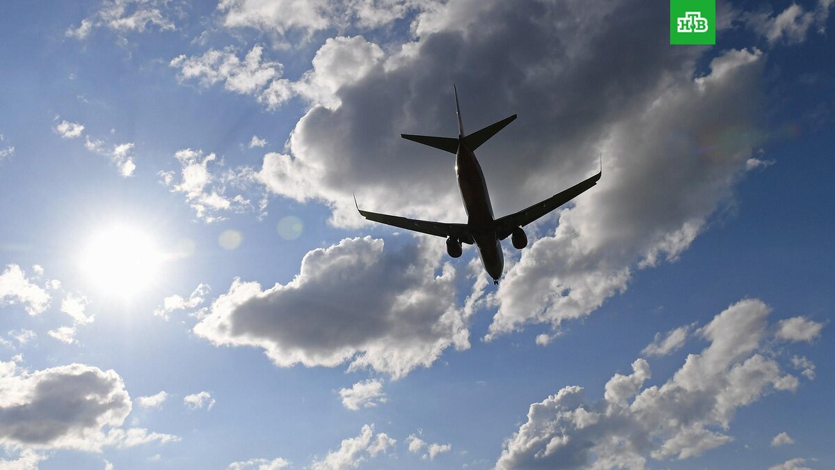    Фото: РИА Новости © 2024, Илья Наймушин