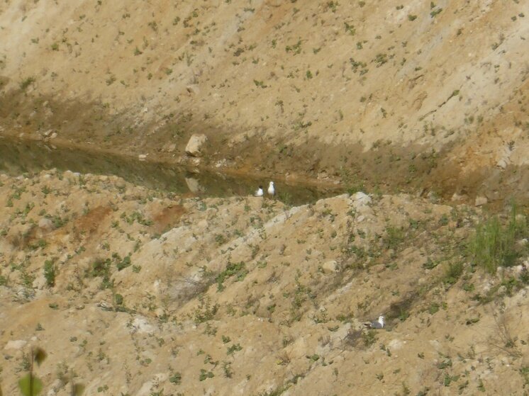     Фото: Юрий Галченков