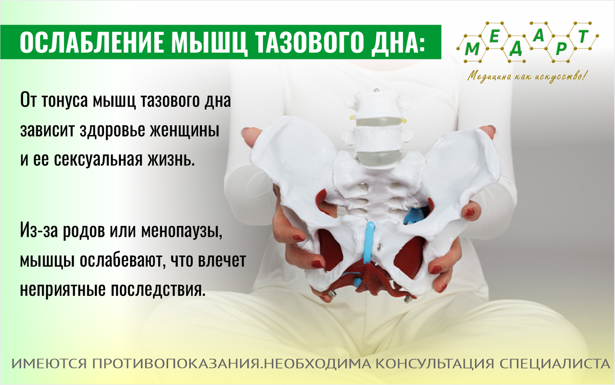 Восстановите силу мышц тазового дна: продлите свою молодость | Мед Арт  Ярославль | Дзен