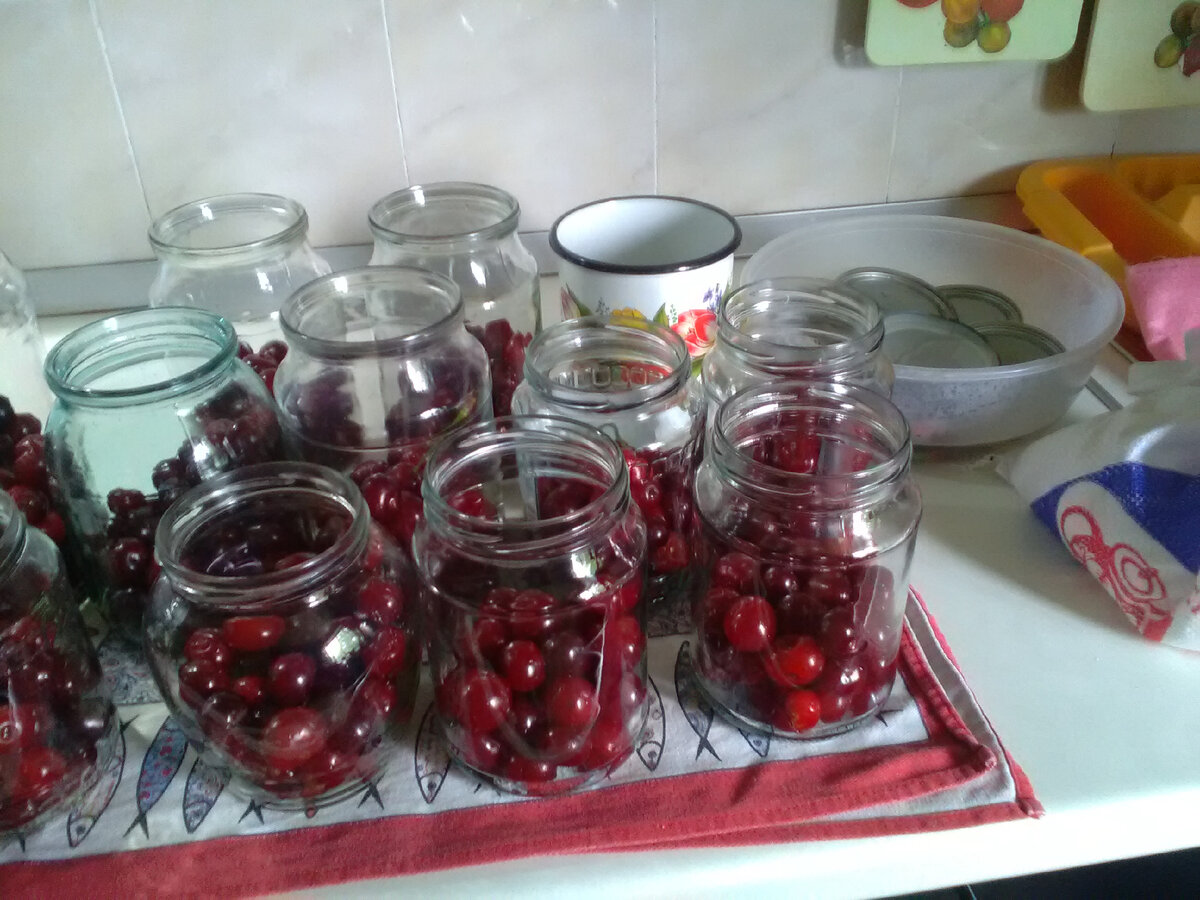 Всё подготовлено!