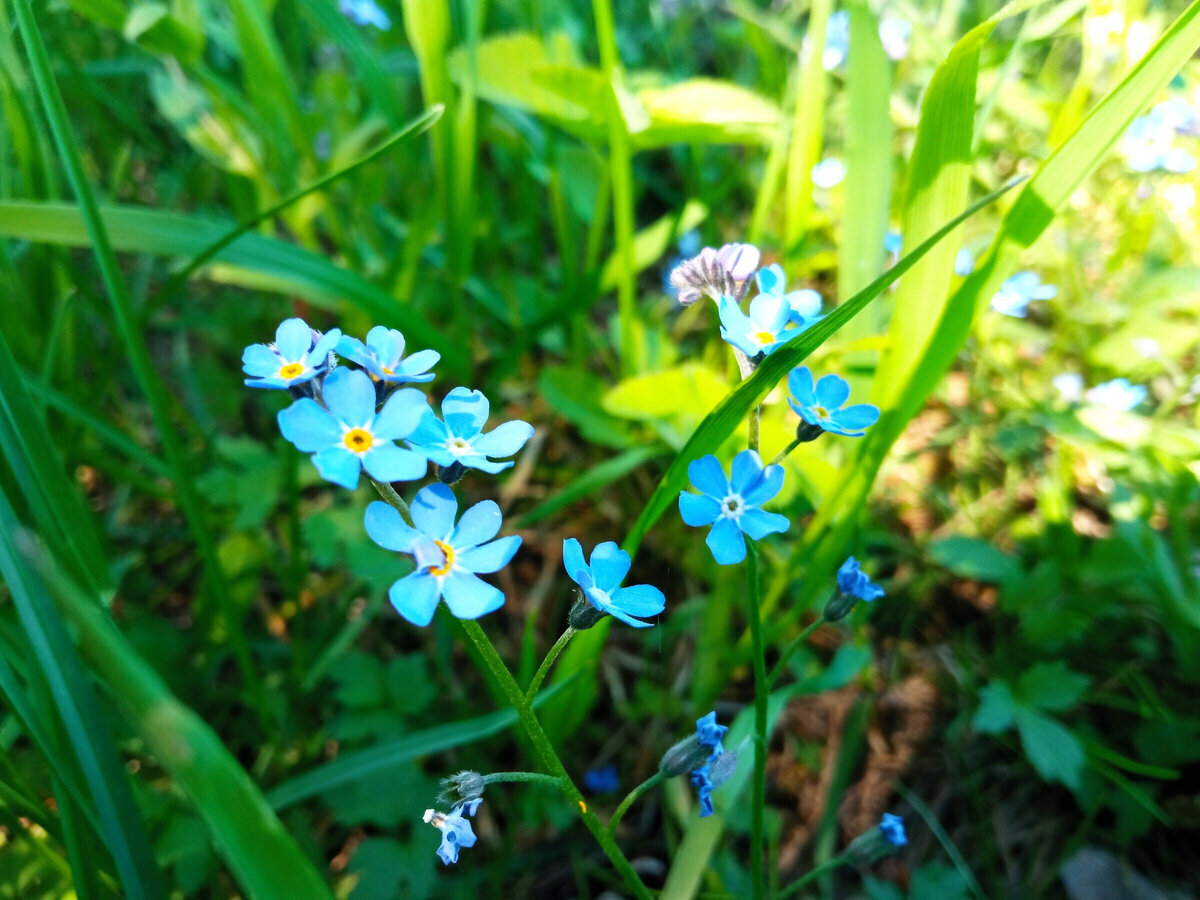 Фото моего сына.