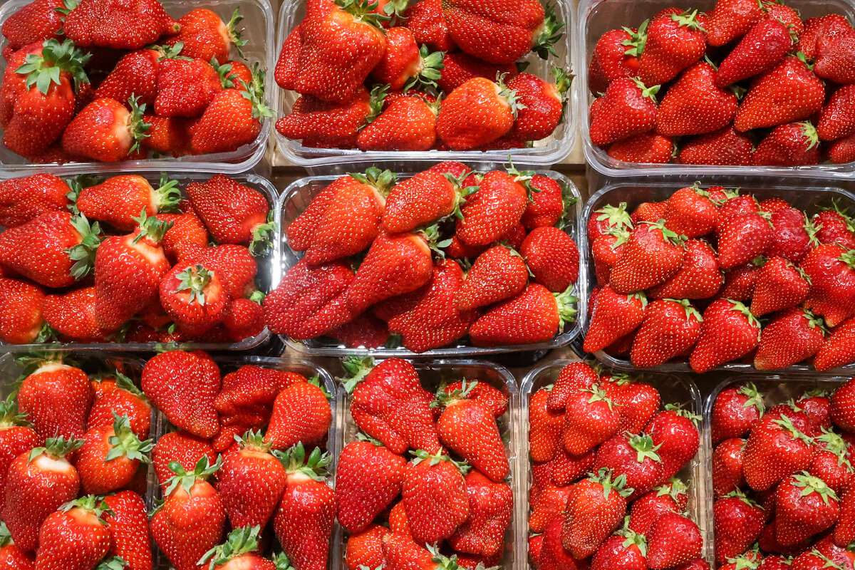 Petrov Sergey/news.ru/Globallookpress