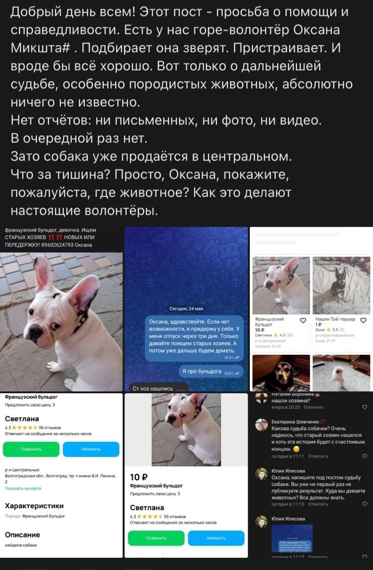 Моё общение с этой "горе-волонтеркой" было ещё "интереснее"