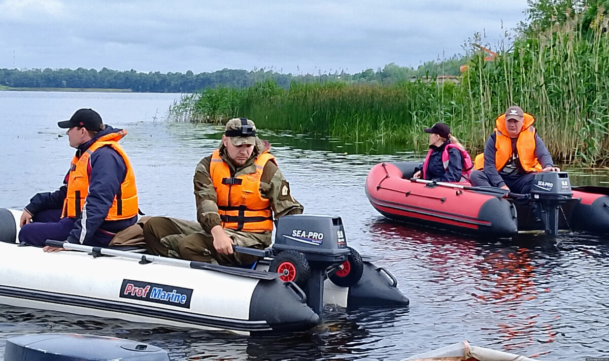 08.06.2024. День без сетей. Неравнодушные псковичи пришли природе на помощь