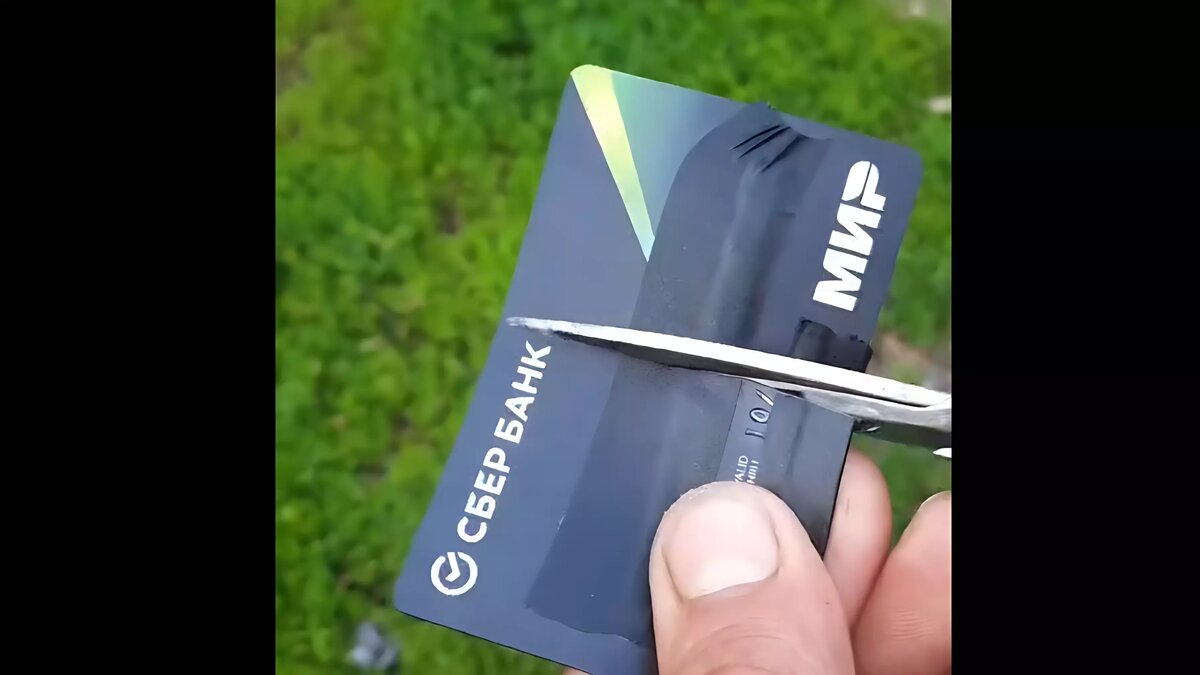     Источник: aruna_altayleader