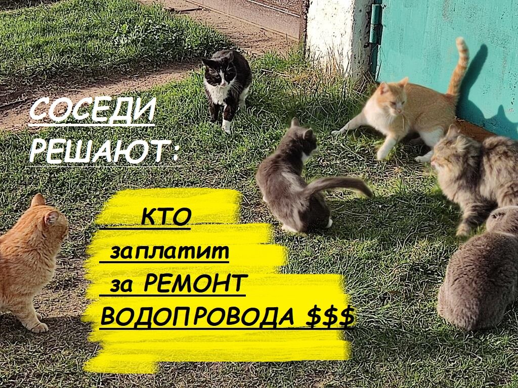 Соседи нам отключили воду (молча) | Есть время под солнцем | Дзен