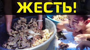 Дети едят отходы из помойки, культурный шок для туриста национальное блюдо Пак-Пак, зрелище не для брезгливых!