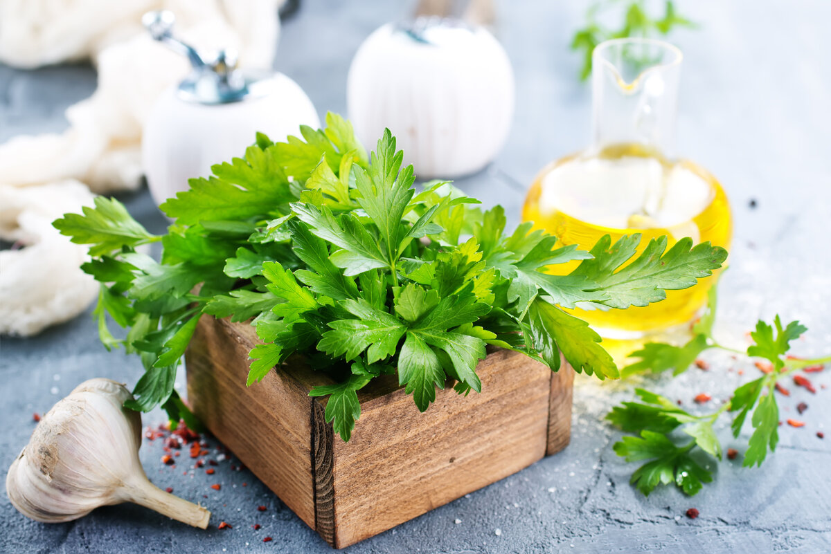 Источник фото: Canva