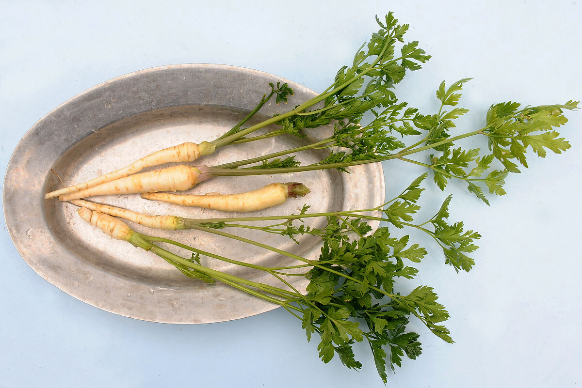 Вот такая петрушка! Чем реально полезна эта зелень и как с ней вкусно  готовить детям | Живая Еда с Сергеем Малозёмовым | Дзен