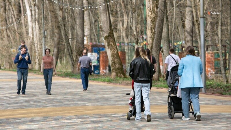      Фото: ИА «Победа26»