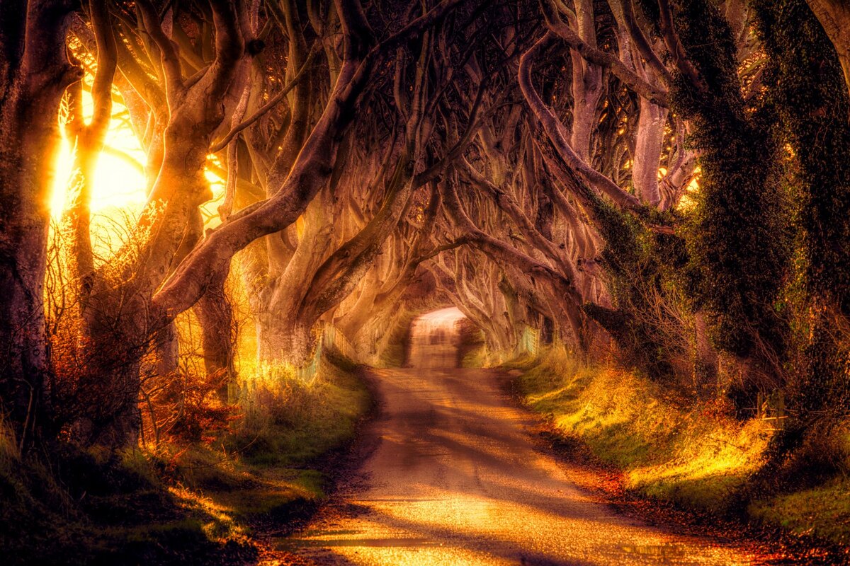 Какой сейчас планете пишут путь... неровный, угрожающе-гнетущий... Изображение из сети