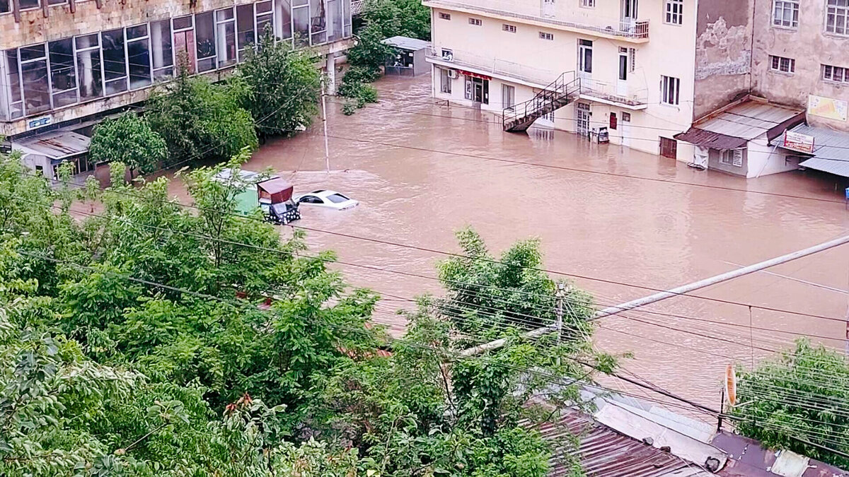 Ну что, сынку, помогли тебе твои ляхи?