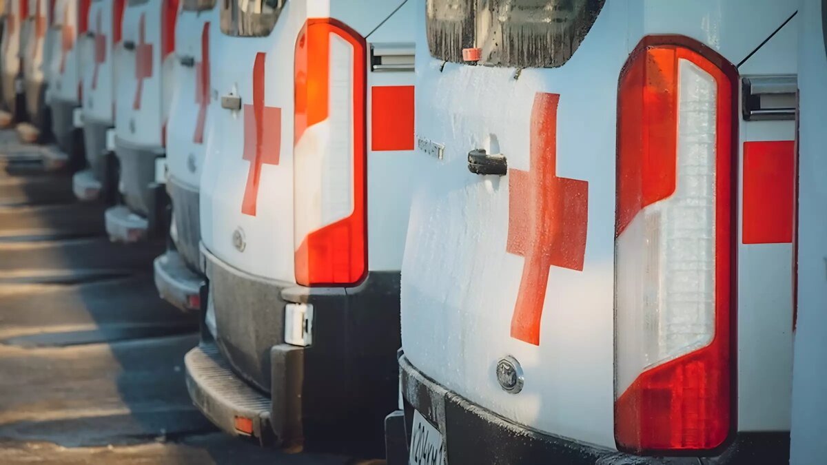     Источник: 1MI