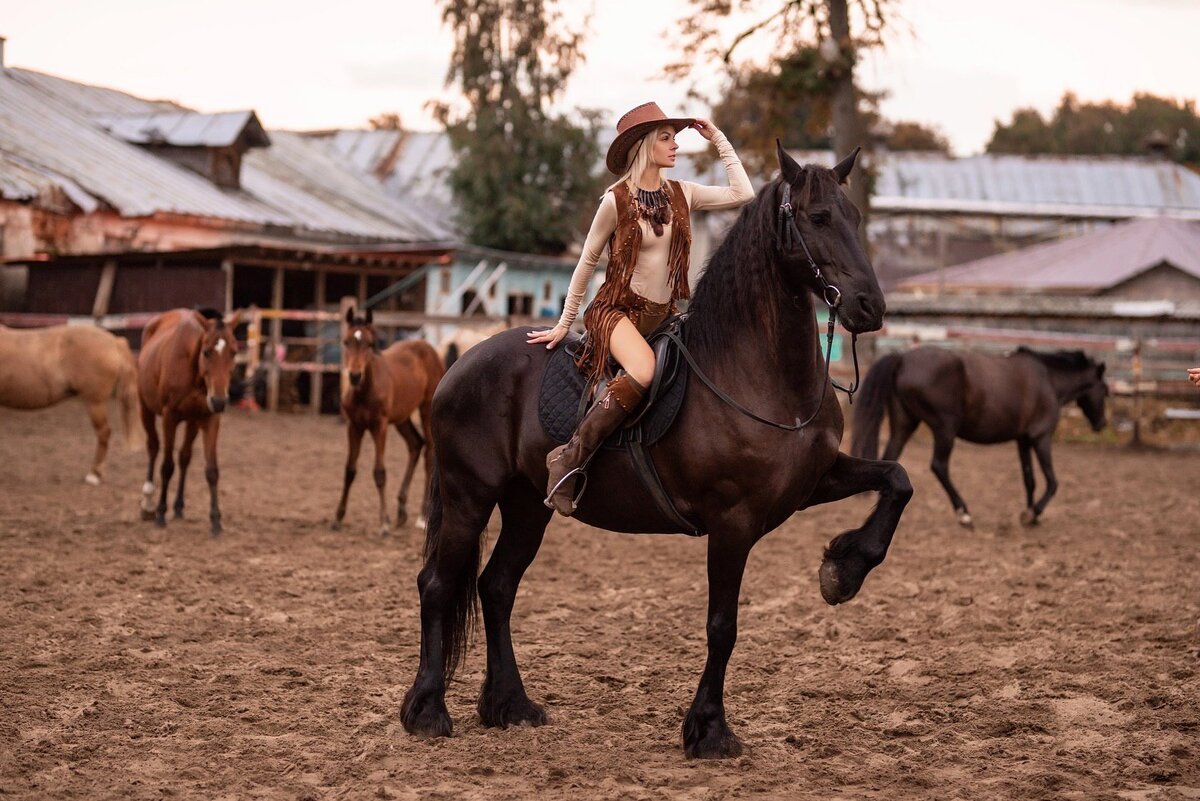 Фотограф лошадей