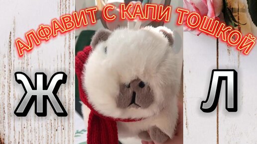 Учим АЛФАВИТ с Капи Тошкой! Ж-Л