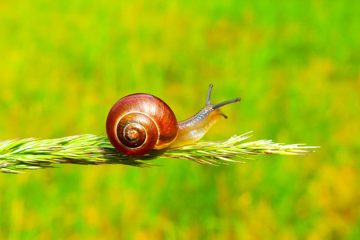 Фото: krzysztofniewolny/Pixabay.com
/