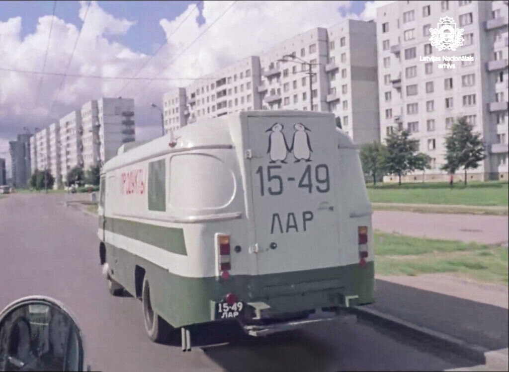 Пингвин необычного цвета