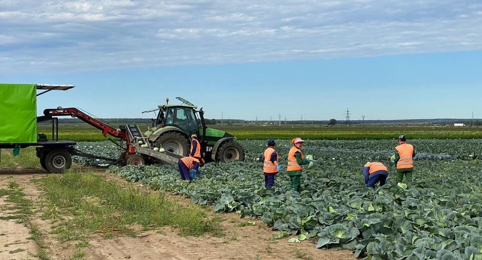    пресс-служба Министерства инвестиций, промышленности и науки Московской области
