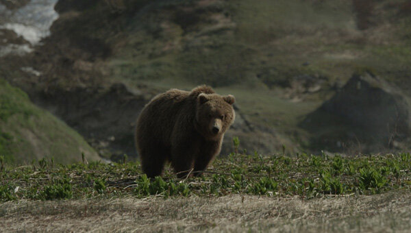    © Архив ИД «Компаньон»