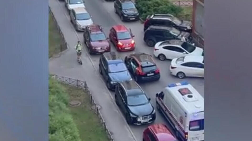 Фото: © Скриншот видео